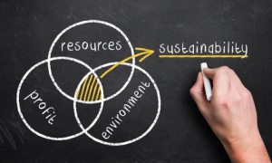 Sustainability and its challenges