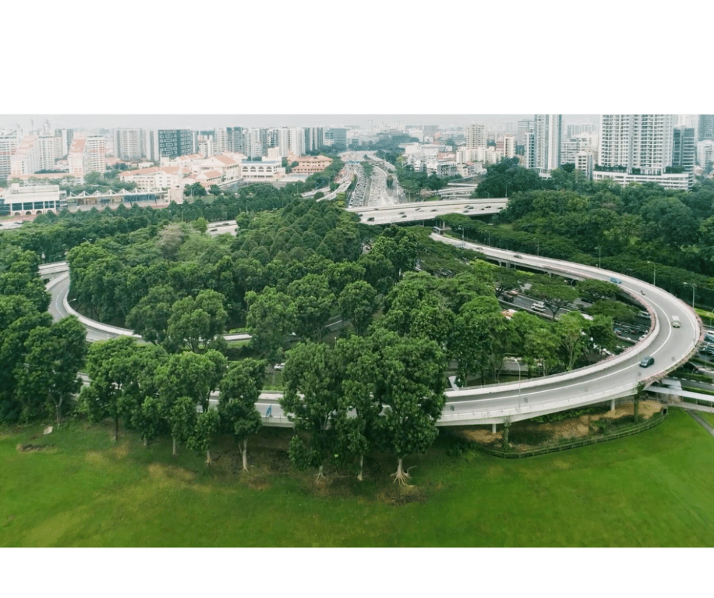 singapore-leading-the-way-to-sustainable-development/
