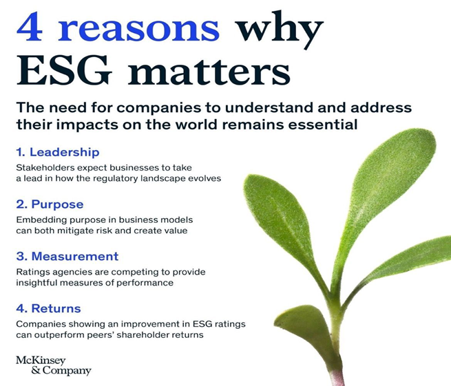 ESG (Environment, Social, Governance) – Investment with Conscious Capitalism