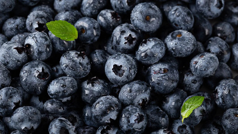 7 Ways Blueberries Can Boost Women’s Brain Health