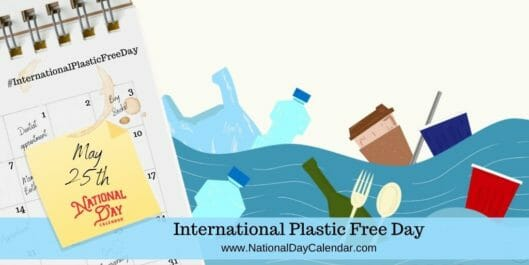 International Plastic-Free Day: A Call to Action for a Sustainable Future