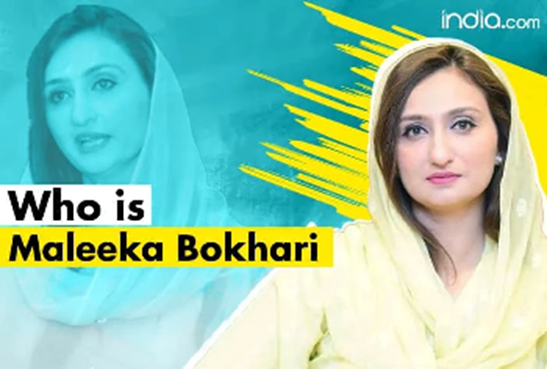 Maleeka Ali Bokhari: Pakistani Politician Falls Victim to Deep Fake Propaganda