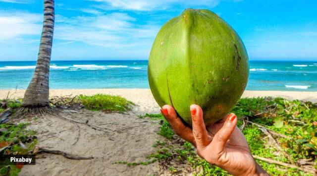 Nutrient-Rich Green Coconuts: A Breakdown