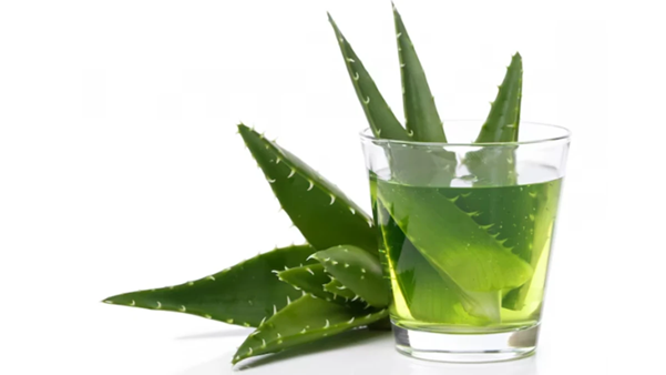 The Incredible Benefits of Aloe Vera Juice