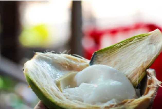 Coconut Malai