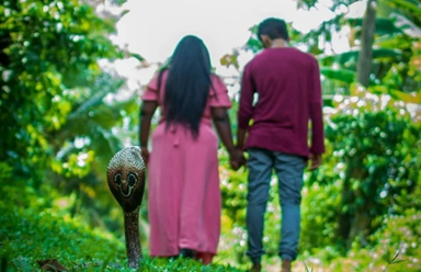 Snake-Inclusive Pre-Wedding Photoshoot Goes Viral