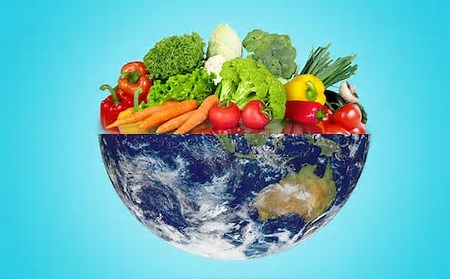 Vegan Diets Have Lower Environmental Impact