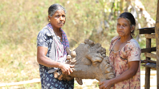 Tribal Women Preserve 180 Tuber Varieties