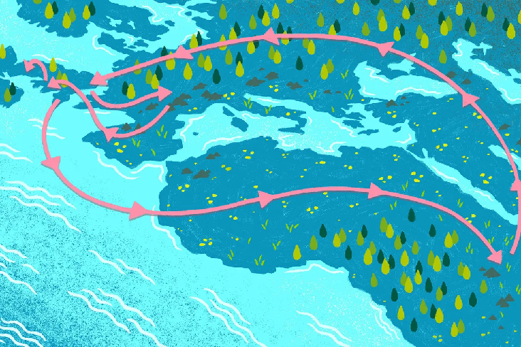 Carbon Offsets: A Complex Solution