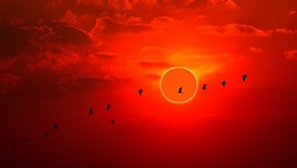 Safety Measures for Enjoying the 2023 Annular Solar Eclipse
