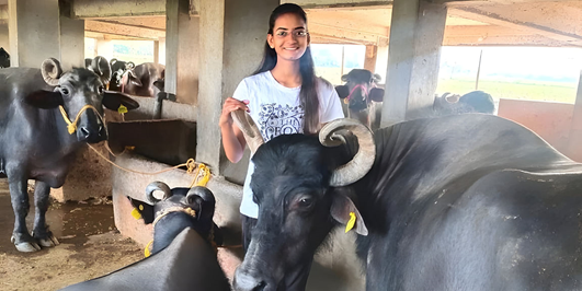 Buffalo Girl’s Remarkable Journey to a Rs 1 Cr Dairy Empire