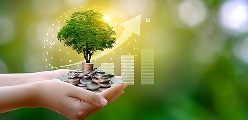 Balancing Monetary and Social Incentives in Green Credit Program for Sustainable Behaviors