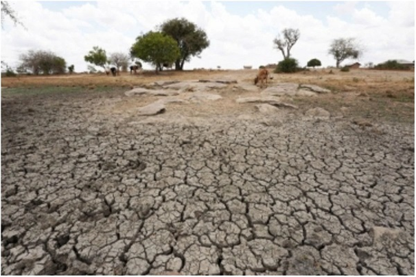 India Nears Critical Groundwater Depletion Tipping Point by 2025, Warns UN Report