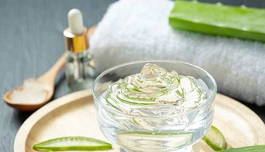 Unlock a Profitable Opportunity: Aloe Vera Gel Business with Minimal Investment