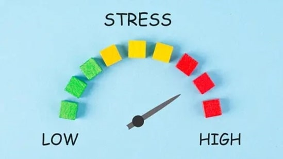 Understanding Stress: Psychologist Breaks Down Types for Mental Well-being