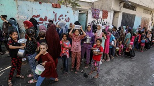 Humanitarian Crisis Unfolds in Overcrowded South Gaza