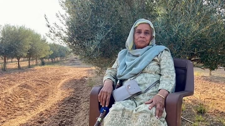 Rajasthan's Olive Revolution
