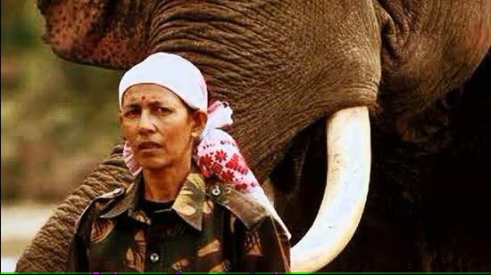 Trailblazing Achievement: First Female Elephant Caretaker