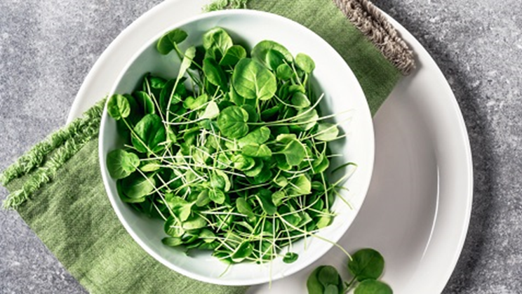 Watercress: The Ultimate Superfood for Health and Flavor