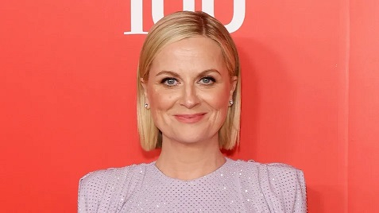 Top Roles of Amy Poehler: From Mean Girls to Parks and Recreation