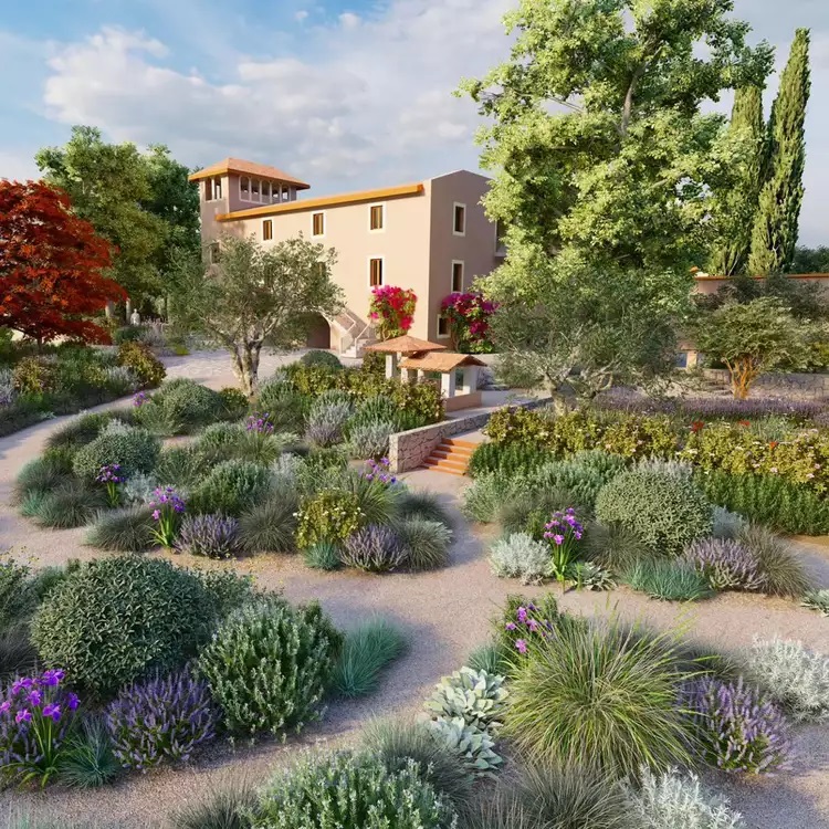 Expert tips for creating Mediterranean garden in backyard