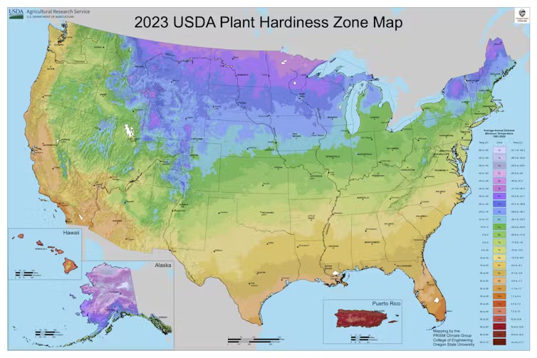 Understanding the Impact of Climate Change on Plant Growth Zones: Essential Insights for Your Garden This Year