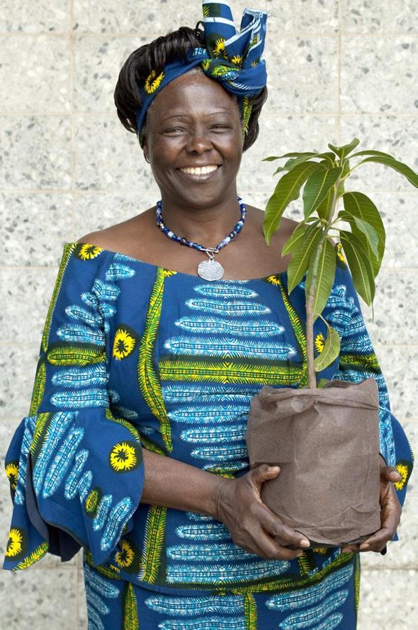 Wangari Maathai – the First African Woman to Receive a Nobel Prize